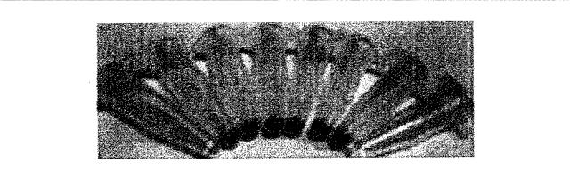 5951909-バクテリオファージＴ４ＤＮＡパッケージングマシンを用いた遺伝子およびタンパク質のインビトロおよびインビボ送達 図000019