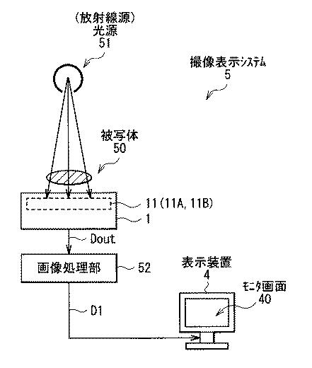 5974654-撮像装置および撮像表示システム 図000019