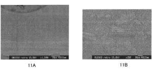 5977169-高温で作動する装置のガスケット用のガラス組成物及びそれらを用いた組立方法 図000019