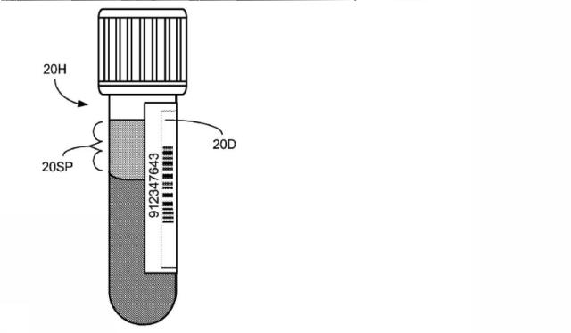 6005683-臨床分析機によって分析される液体サンプルおよび容器の中の干渉物質および物理的寸法を確定するための方法ならびに装置 図000019