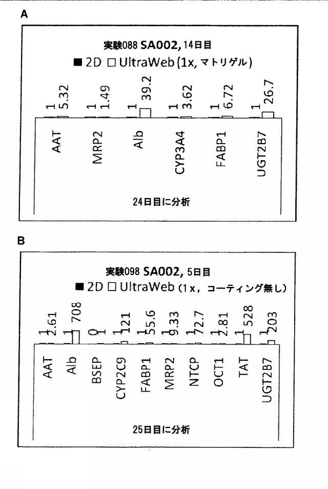 6025715-多能性幹細胞の肝細胞への分化を向上する三次元スキャホールド 図000019