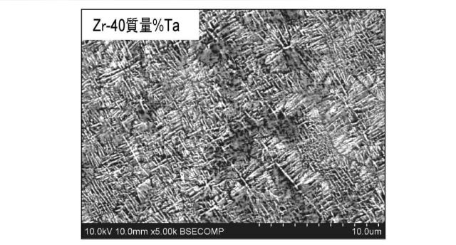 6041045-生体用ジルコニウム合金およびそれを用いた骨固定具 図000019