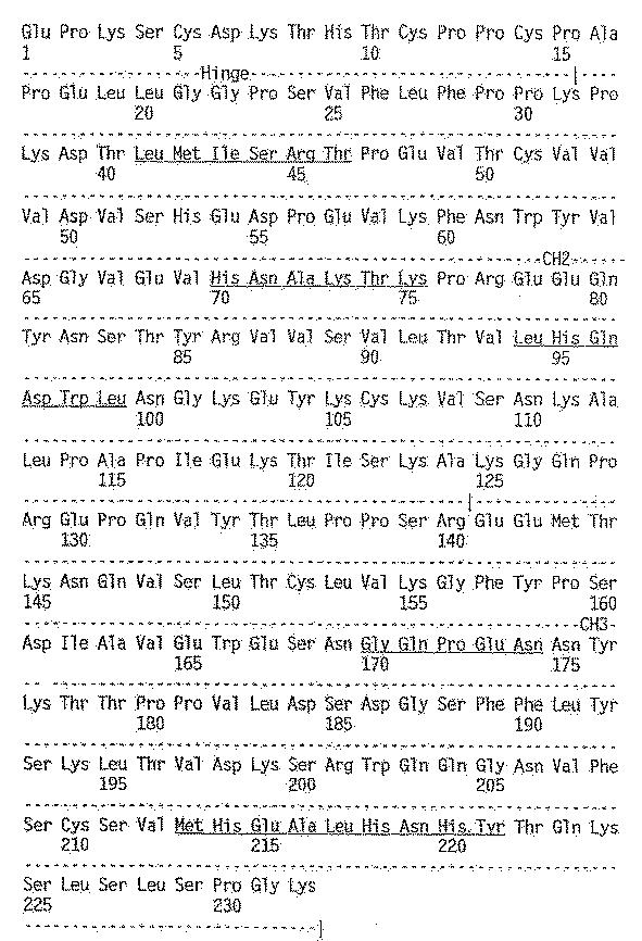 6125949-延長した半減期を有する分子ならびにその組成物および用途 図000019