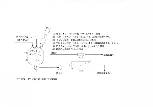 6175237-コルチコステロイドを含む治療用ポリマーナノ粒およびそれを製造かつ使用する方法 図000019