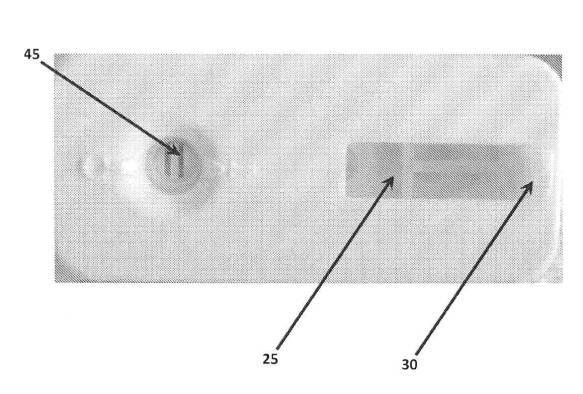 6190395-単一信号で複数被検体を検出する方法及び組成物 図000019