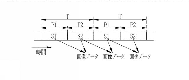 6203127-内視鏡用光源装置及び内視鏡システム 図000019