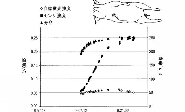 6244004-酸素センサ 図000019