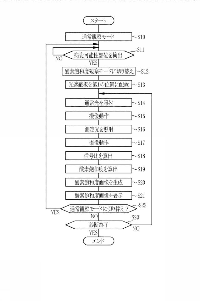 6254502-内視鏡用光源装置及び内視鏡システム 図000019