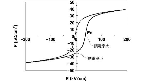 6258241-圧電アクチュエータ 図000019