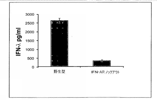 6263559-従来型樹状細胞によるＩＦＮ‐ラムダの産生及びその使用 図000019