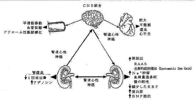 6267774-神経変調療法の評価及びフィードバックのためのデバイス、システム、及び方法 図000019