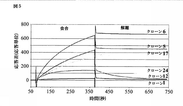 6307483-診断用抗体アッセイ 図000019