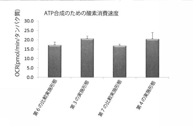 6329234-ミトコンドリアを改善する方法および幹細胞の細胞分裂を促進する方法 図000019