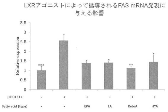 6340523-希少脂肪酸を含む代謝改善剤 図000019