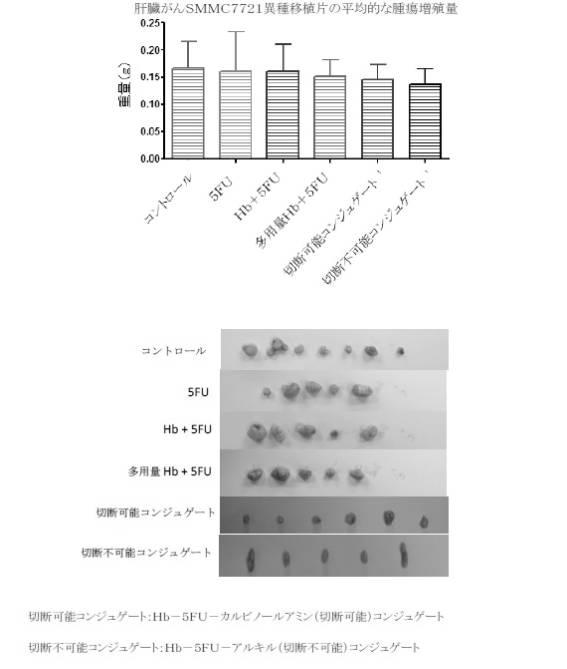 6392855-がん治療および診断イメージングのための修飾ヘモグロビンベース系治療剤を含む医薬組成物 図000019