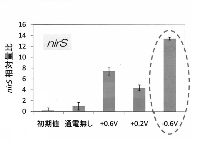 6396269-窒素代謝微生物の活性化方法 図000019