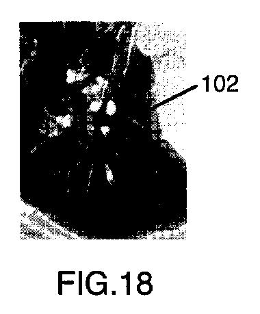 6396310-第一レンダリング投影と第二レンダリング投影との間のトランジションをユーザーに表示するための方法および装置 図000019