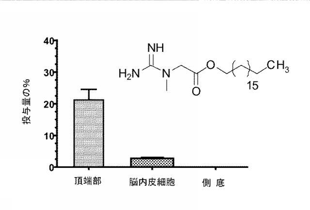 6403671-クレアチン脂肪エステルを調製する方法、そのように調製されたクレアチン脂肪エステルおよびその使用 図000019