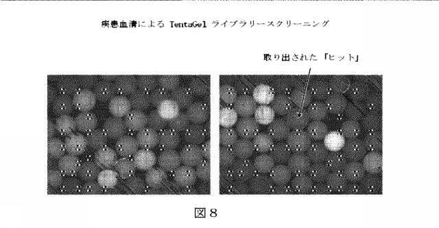 6412798-リガンドライブラリーを用いた診断および処置方法 図000019