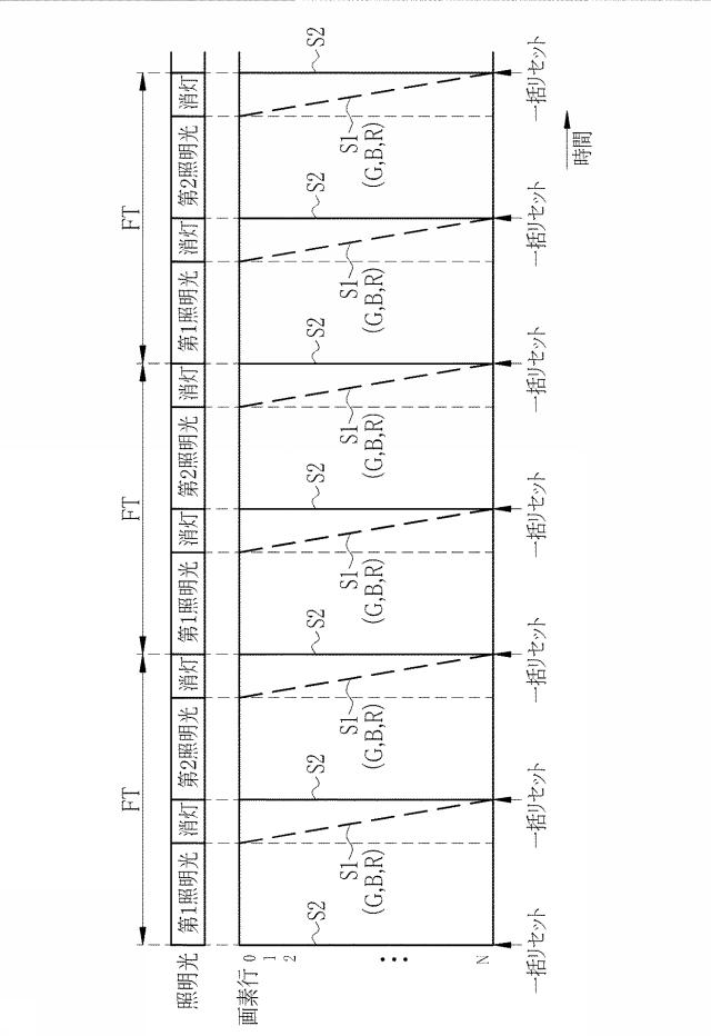 6444450-内視鏡システム、内視鏡システムのプロセッサ装置、及び内視鏡システムの作動方法 図000019