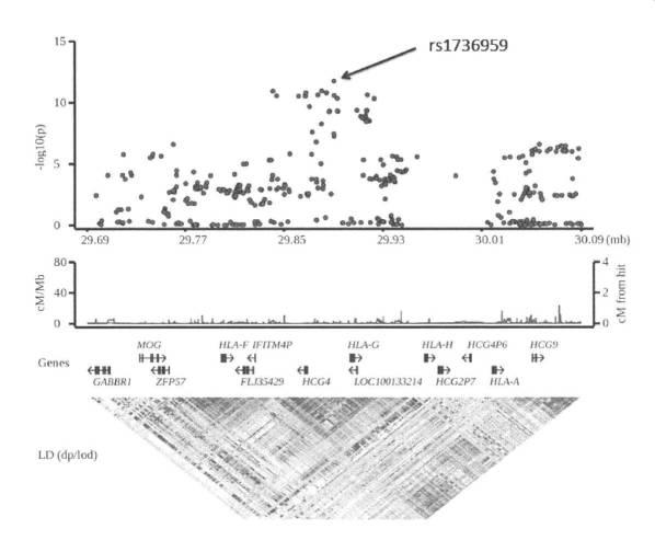 6516128-抗甲状腺薬誘発性無顆粒球症リスクを判定するための検査方法及び判定用キット 図000019