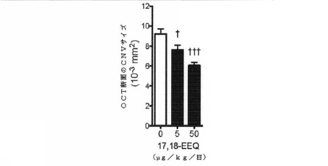 6526570-炎症及び血管形成を減少させるＣＹＰ４５０脂質メタボライト 図000019