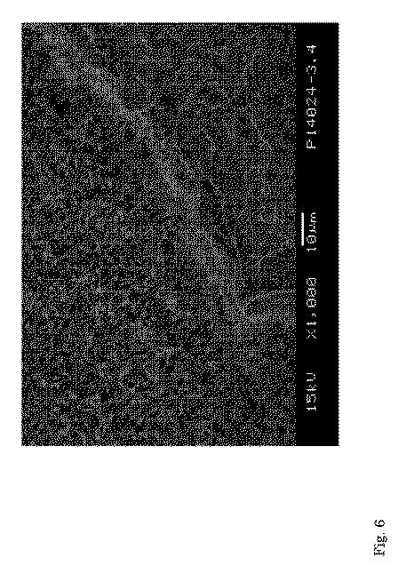 6559665-骨誘導性リン酸カルシウムを製造する方法及びそうして得られる製品 図000019