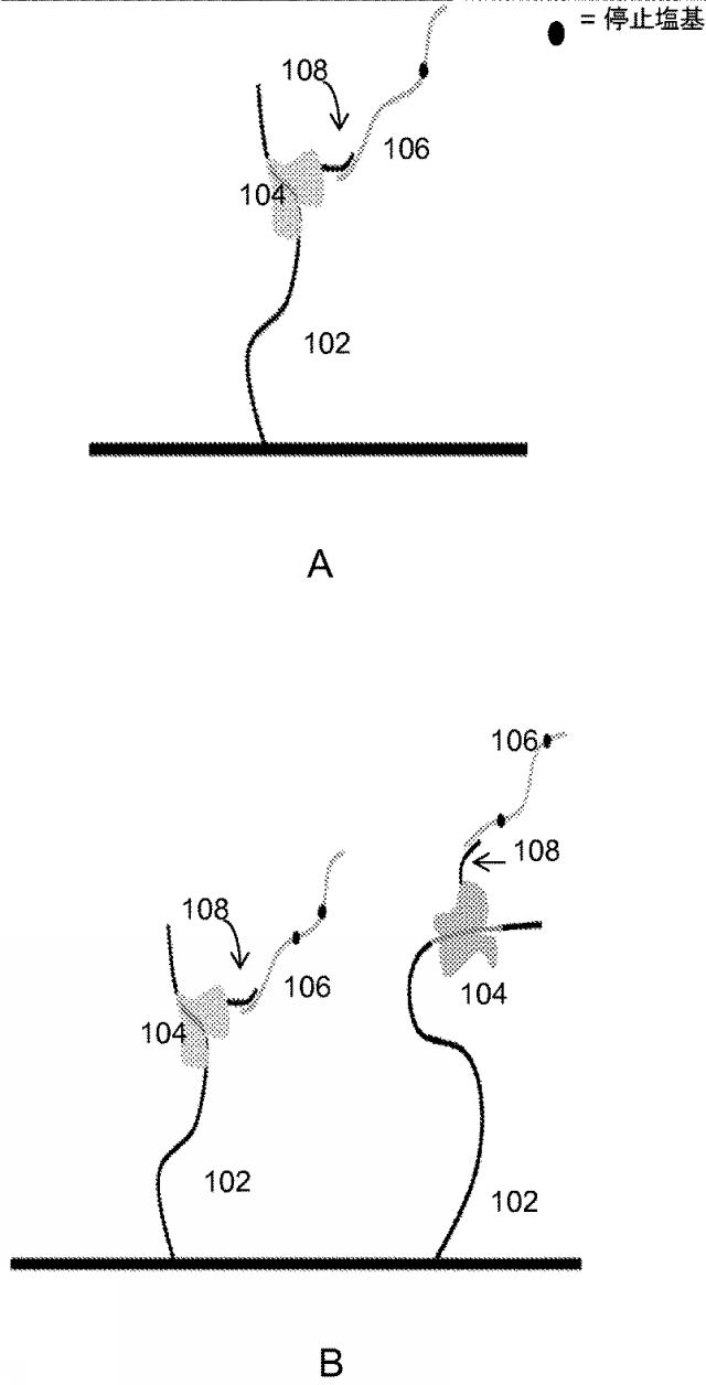 6585046-電気的方法を用いた分子分析物のデジタル分析の方法 図000019