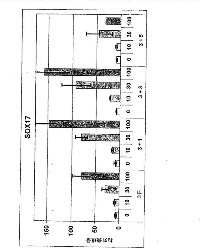 6595041-ＰＤＸ１発現背側及び腹側前腸内胚葉 図000019