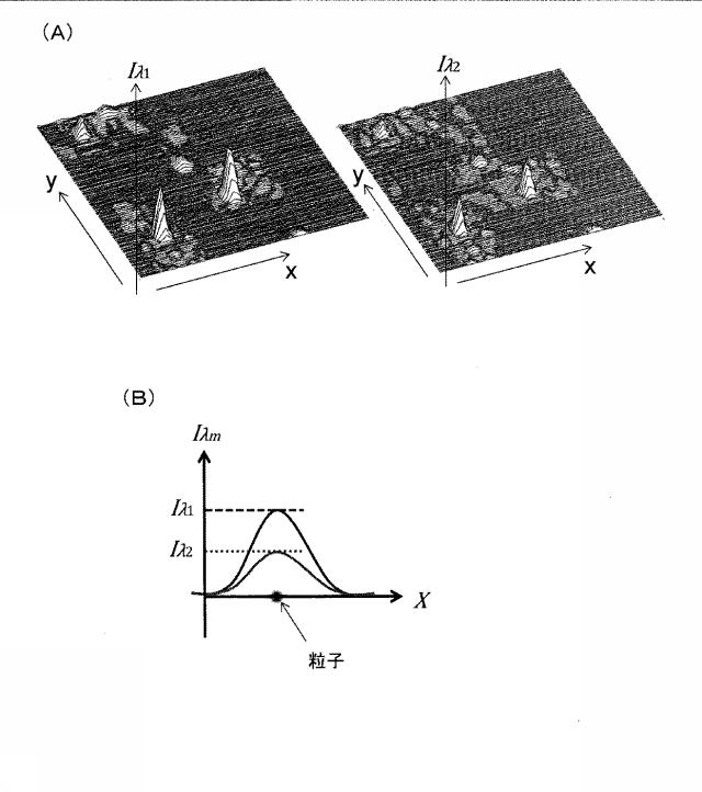 6607607-微粒子の３Ｄ位置特定装置及び特定方法 図000019