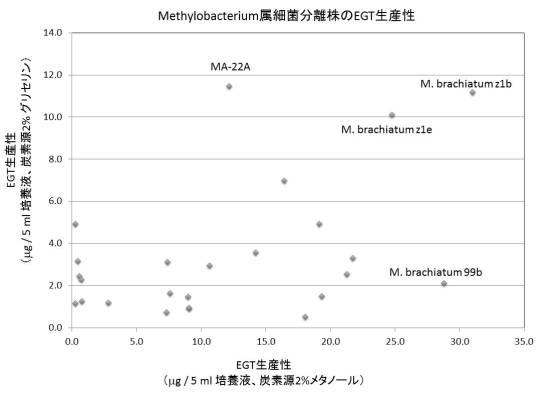 6616328-エルゴチオネインの産生方法 図000019