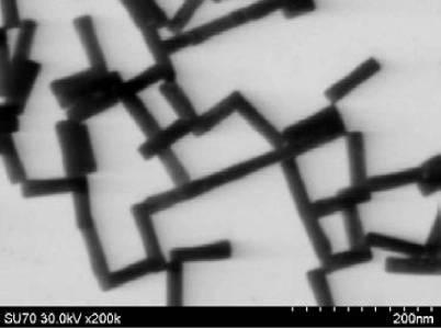 6716632-パラジウム被覆異方性金ナノ粒子を含む被験物質を検出するための組成物及びその用途 図000019