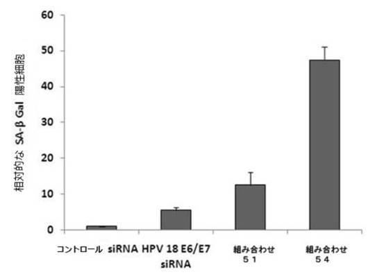 6727381-ＨＰＶ感染に係わる癌の治療用組成物 図000019