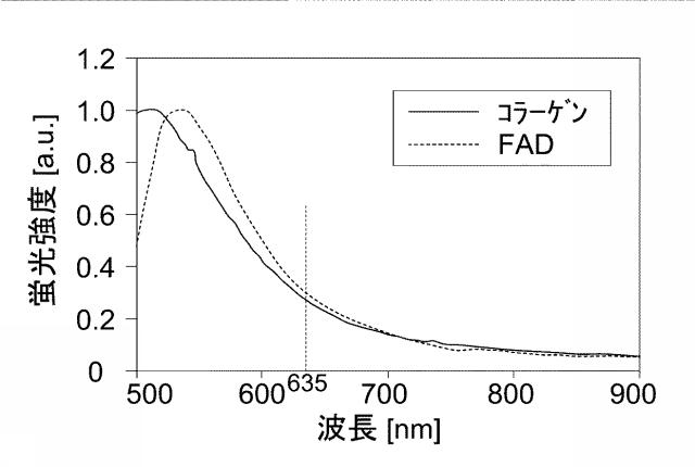 6762703-腫瘍部位の判別のための方法、腫瘍部位の判別装置 図000019