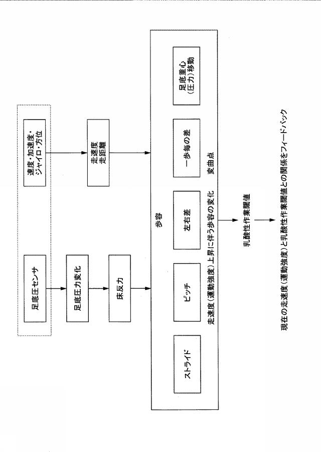 6792773-乳酸性作業閾値推定装置及び乳酸性作業閾値推定方法 図000019