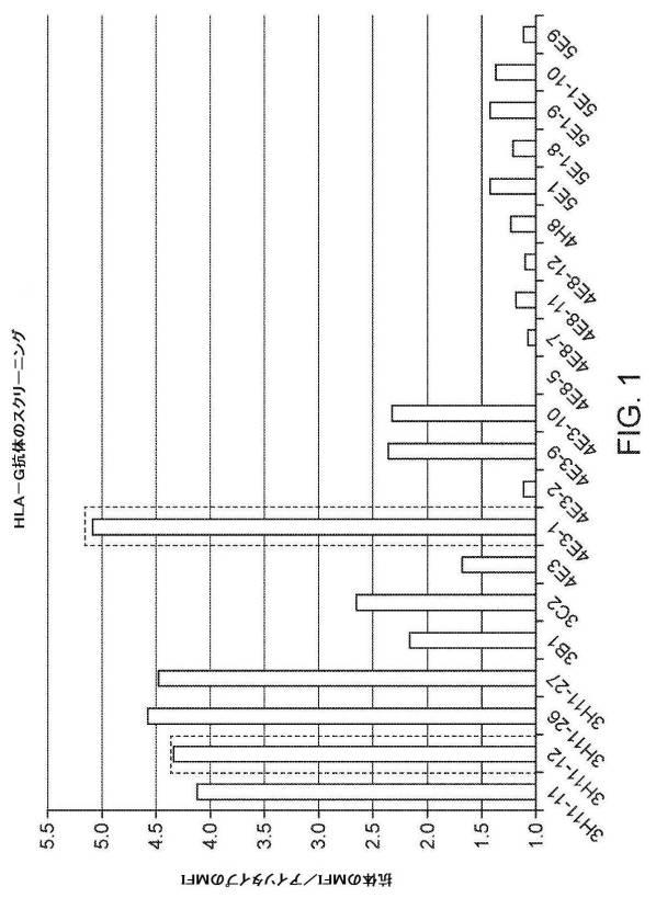 6843062-ＣＡＲ  Ｔ細胞免疫療法のための新規標的としてのＨＬＡ−Ｇ 図000019