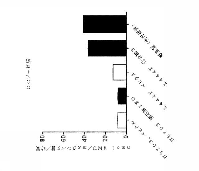 6857648-リソソーム障害及び中枢神経系の変性障害の治療及び予防のための（３Ｒ，４Ｒ，５Ｓ）−５−（ジフルオロメチル）ピペリジン−３，４−ジオールを含むレジメン 図000019