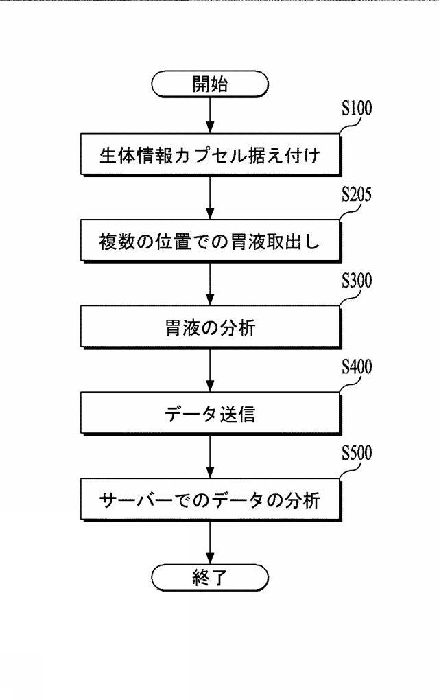 6935117-家畜の消化率測定システム、生体情報カプセル、ならびに、家畜の反芻胃の胃液取出及び分析方法 図000019