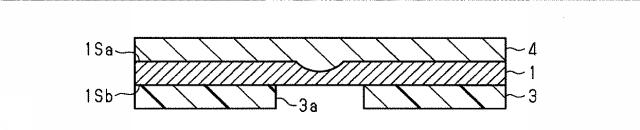 6984529-蒸着マスク用基材、蒸着マスク用基材の製造方法、蒸着マスクの製造方法および表示装置の製造方法 図000019