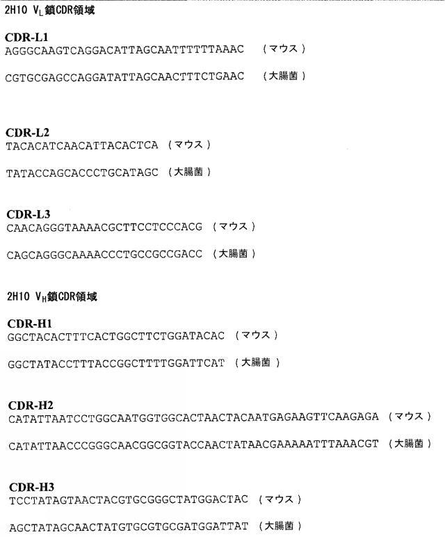 5662912-ＶＥＧＦ−Ｂアンタゴニストを含む癌治療方法 図000020