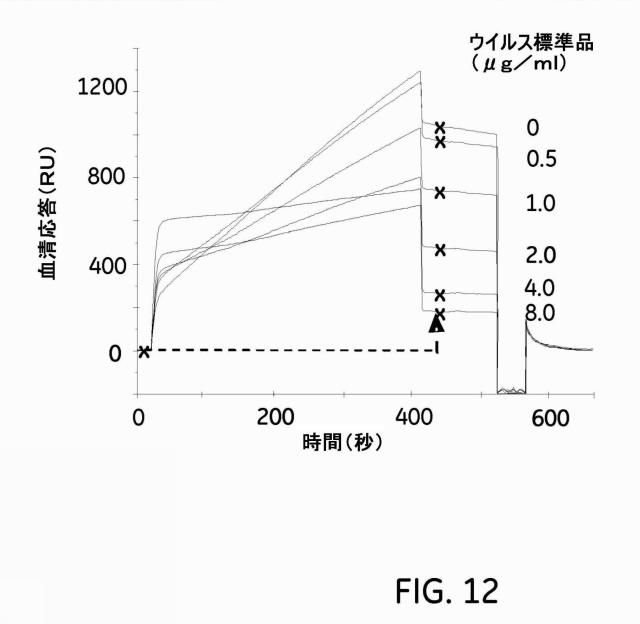 5730192-濃度アッセイ 図000020