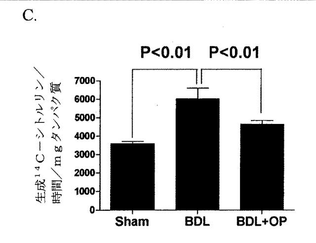 5749255-Ｌ−オルニチンフェニル酢酸塩を用いる門脈圧亢進の治療及び肝機能の修復 図000020