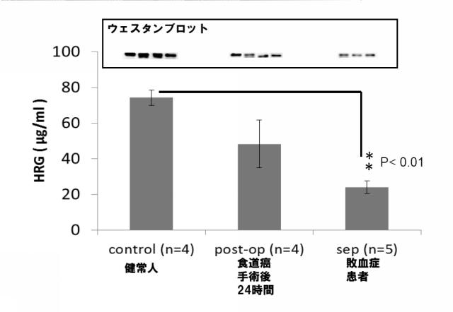 5807937-好中球活性化に起因する疾患の治療薬、治療方法及び検査方法 図000020