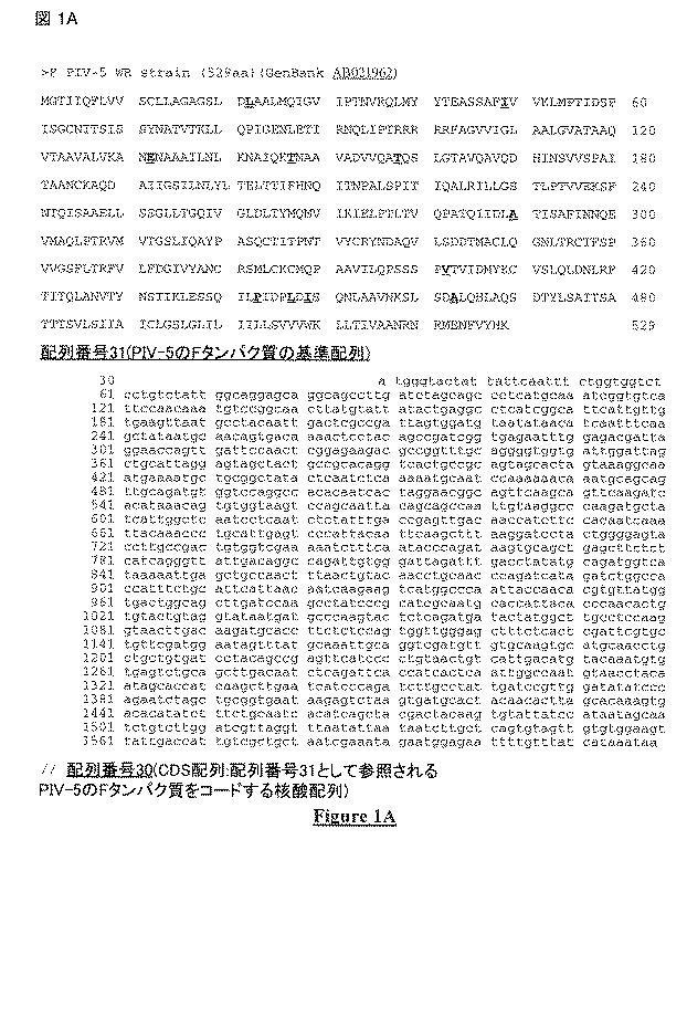 5813509-ＰＩＶ−５およびＰＩＶ−２のＦタンパク質の突然変異タンパク質 図000020