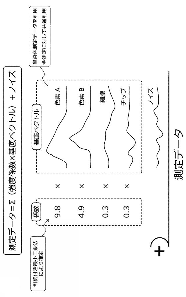 5834584-情報処理装置、情報処理方法、プログラム及び蛍光スペクトルの強度補正方法 図000020
