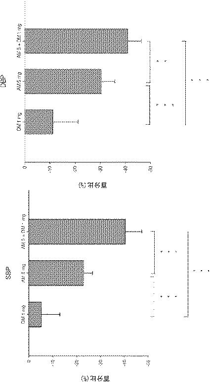 5847162-高血圧治療用医薬組成物及び方法 図000020