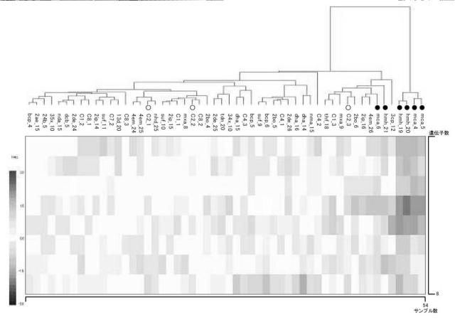 5874876-化学物質の生体に対する影響の評価方法 図000020