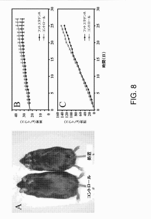 5878937-代謝障害を処置するための組成物および方法 図000020