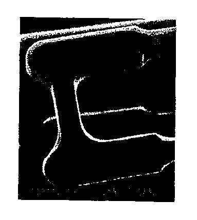 5907658-自己消失性コーティング 図000020