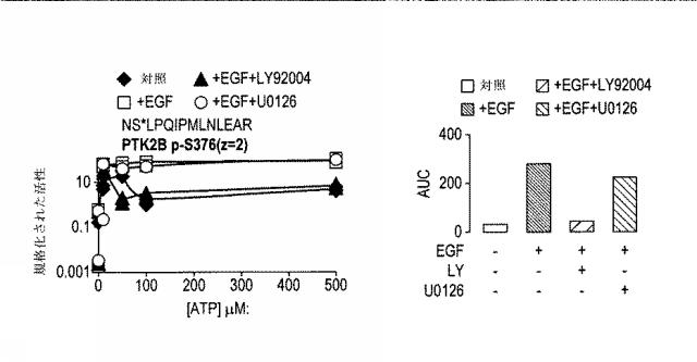 6005651-トランスフェラーゼの活性同定方法 図000020